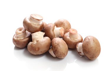 Brown champignons isolated on white background