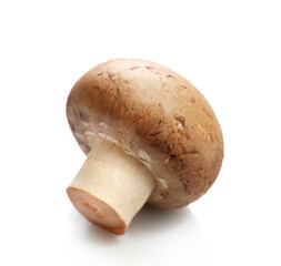 Brown champignon isolated on white