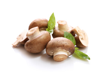 Brown champignons isolated on white background