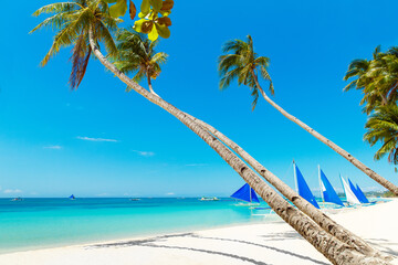 Beautiful landscape of tropical beach on Boracay island, Philippines. Coconut palm trees, sea,...