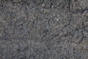 texture and background of cracked earth, soaked by the rain