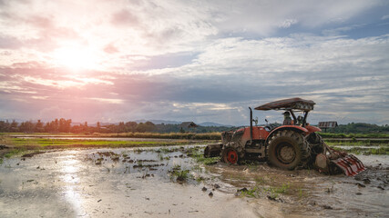 People driving tractor in rice field. In order to prepare rice © PIPAT
