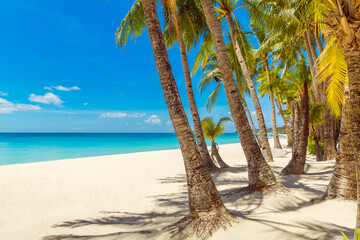 Beautiful landscape of tropical beach on Boracay island, Philippines. Coconut palm trees, sea,...