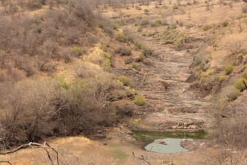 Panoramic view of tiger habitat with rocky mountains and river of Ranthambore National Park