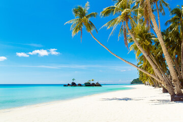 Naklejka na ściany i meble Beautiful landscape of tropical beach on Boracay island, Philippines. Coconut palm trees, sea, sailboat and white sand. Nature view. Summer vacation concept.