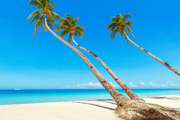 Beautiful landscape of tropical beach on Boracay island, Philippines. Coconut palm trees, sea,...