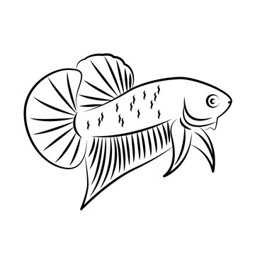 recommend clip art: Betta Wild Line Art Minimalist Vector