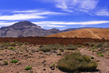 Volcanic  landscape  near volcano Teide with blue sky. Tenerife. Canary islands.