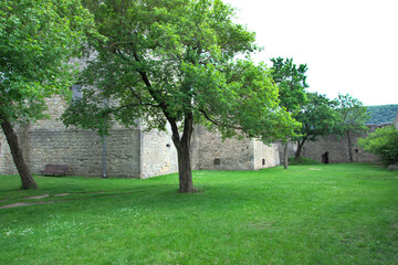 Burghof "Heimenburg" mit Baum und Wiese