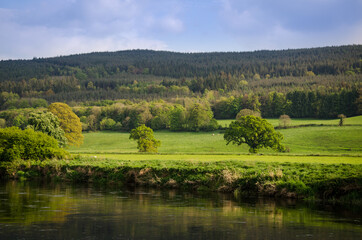 Fototapeta na wymiar Natural green landscape of Ireland