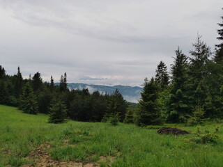 Poland Beskid Sadecki Jaworki. Mountain clearing in the distance Tatra mountains seen from behind the clouds.