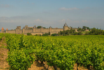 Fototapeta na wymiar Carcassonne from a vineyard outside the walls