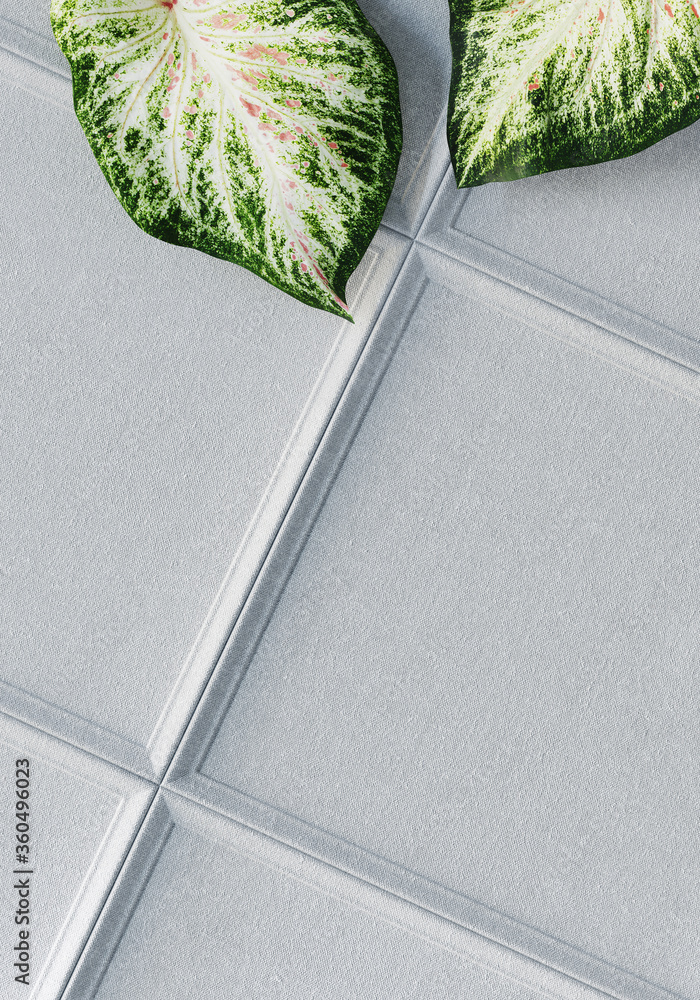 Poster minimal background for branding and product presentation. caladium leaves on white fabric frame back