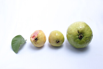 variations of guava fruit and leaves, from small to large guava, ripe guava, raw and rotten