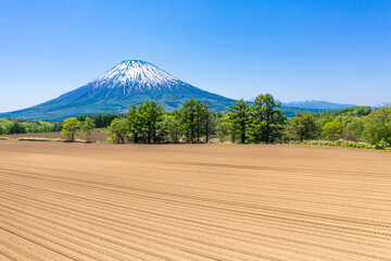 羊蹄山とニセコエリアの風景 / 北海道 ニセコ町 / ドローン空撮