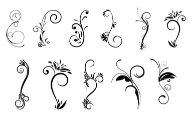 set of floral elements for your design. Ornament Design