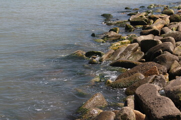 Sea pebble. Sea stones background. Ocean beach rocks.