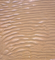 Golden sienna sand texture. Sand of pattern. Closeup foto. Wet sand on the beach. Sand background.