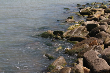 Sea pebble. Sea stones background. Ocean beach rocks.