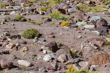 Aconcagua National, Park, Mendoza, Argentina