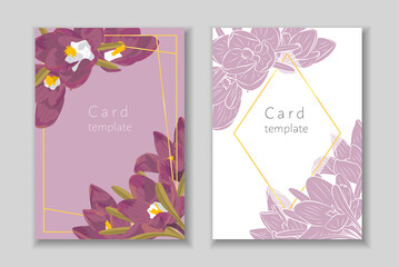 Set of rectangular frame with hand drawn crocus flower arrangement. Greeting card template. Vector illustration.
