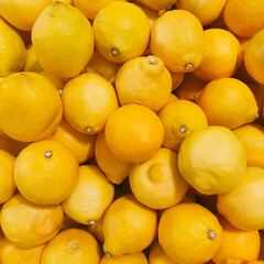 Harvest of fresh lemons. Lemons pattern, square photo, flat lay.