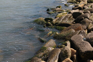 Fototapeta na wymiar Sea pebble. Sea stones background. Ocean beach rocks.