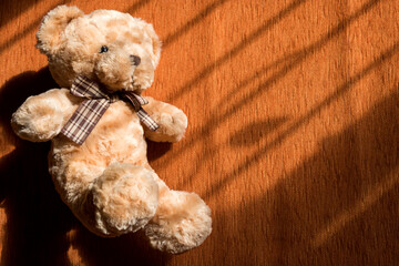 Brown cute teddy bear on orange background.