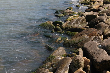 Sea pebble. Sea stones background. Ocean beach rocks.