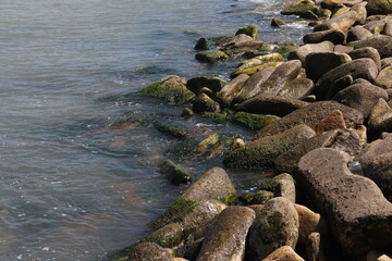 Sea pebble. Sea stones background. Ocean beach rocks.