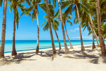 Beautiful landscape of tropical beach on Boracay island, Philippines under lockdoun. Coconut palm trees, sea, sailboat and white sand. Nature view. Summer vacation concept.