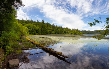 Kilarney Lake, Bowen Island, British Columbia, Canada. Beautiful View of Canadian Nature during a vibrant sunny day. Background