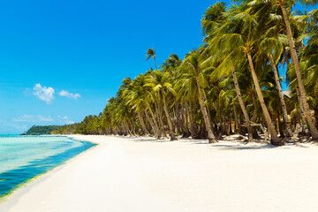 Beautiful landscape of tropical beach on Boracay island, Philippines. Coconut palm trees, sea and...