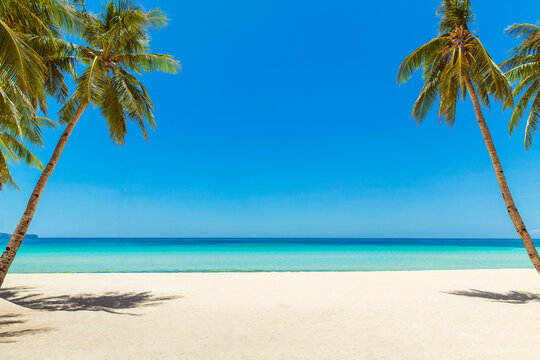 Beautiful landscape of tropical beach on Boracay island, Philippines. Coconut palm trees, sea, sailboat and white sand. Nature view. Summer vacation concept.