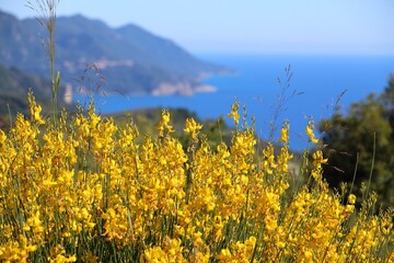 Corfu Island, Greece