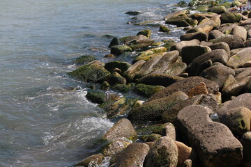 Sea pebble. Sea stones background. Ocean beach rocks.