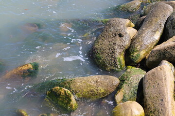 Fototapeta premium Sea pebble. Sea stones background. Ocean beach rocks.