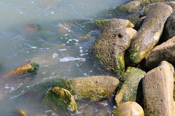 Sea pebble. Sea stones background. Ocean beach rocks.