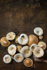 Mushroom Chanterelle over Wooden Background. Forest picking mushrooms Chanterelle in wickered basket. Cooking delicious organic mushroom. Top view flat lay background. Copy space.