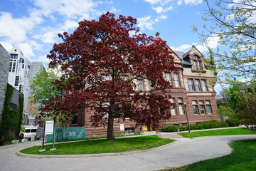 Fototapeta na wymiar University of Toronto Campus landscape in spring