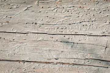Old faded dull pine natural wood background