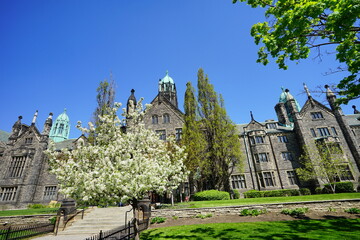 University of Toronto Campus building
