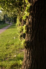 красота окружающего мира