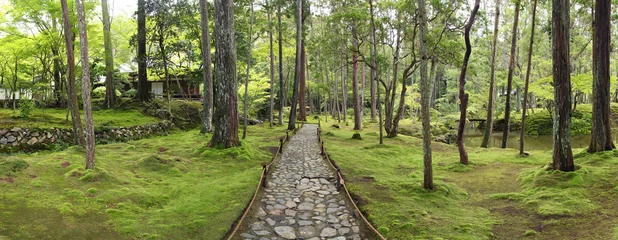 Poster Weites Panorama des beeindruckenden Moosgartens in Kyoto (Saiho-ji-Tempel) © rudiuk