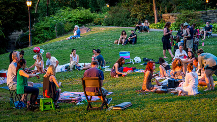 Quartet on the lawn