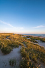 Dünen an der dänischen Nordseeküste im Abendlicht