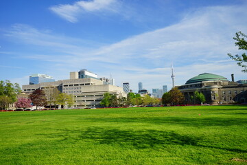 Fototapeta premium University of Toronto Campus landscape 