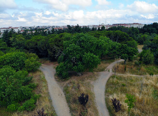 The city is among the forest with top view