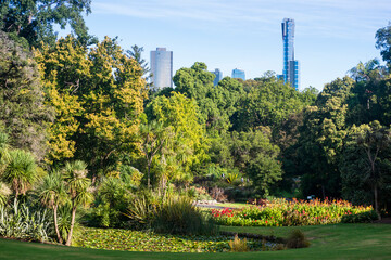 Naklejka premium Royal Botanic Gardens in Melbourne
