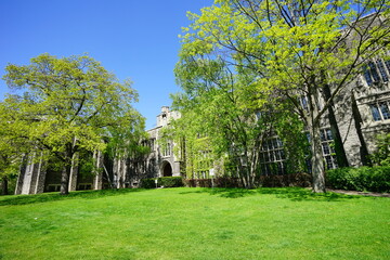 Fototapeta na wymiar University of Toronto Campus landscape 